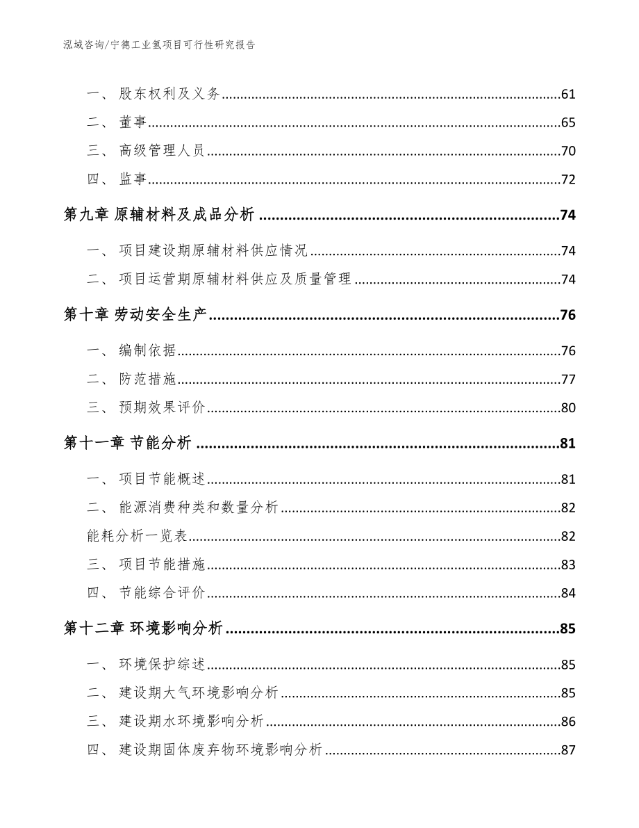 宁德工业氢项目可行性研究报告_第3页