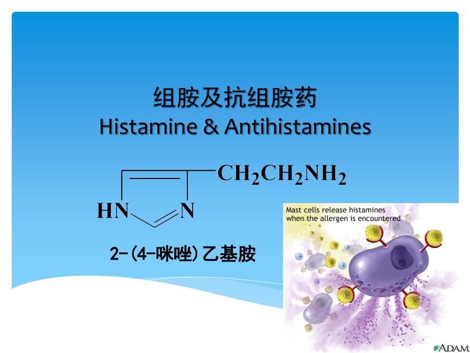 药理学课件：组胺及抗组胺药_第1页