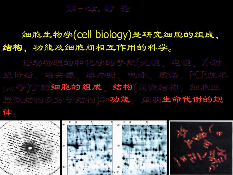 医学专题—绪论细胞30864_第2页