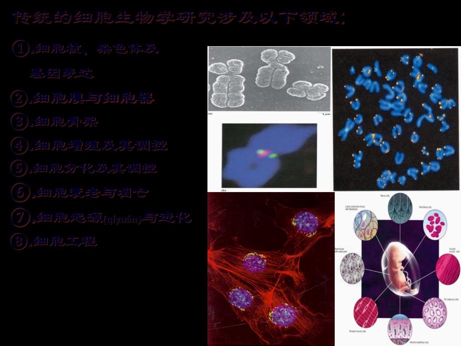 医学专题—绪论细胞30864_第4页