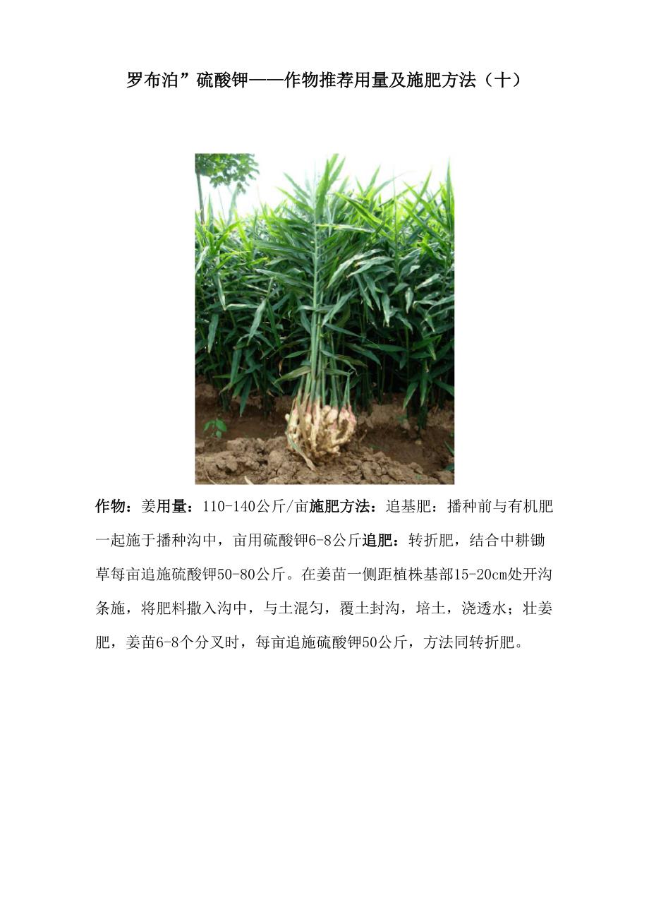“罗布泊”硫酸钾_第1页