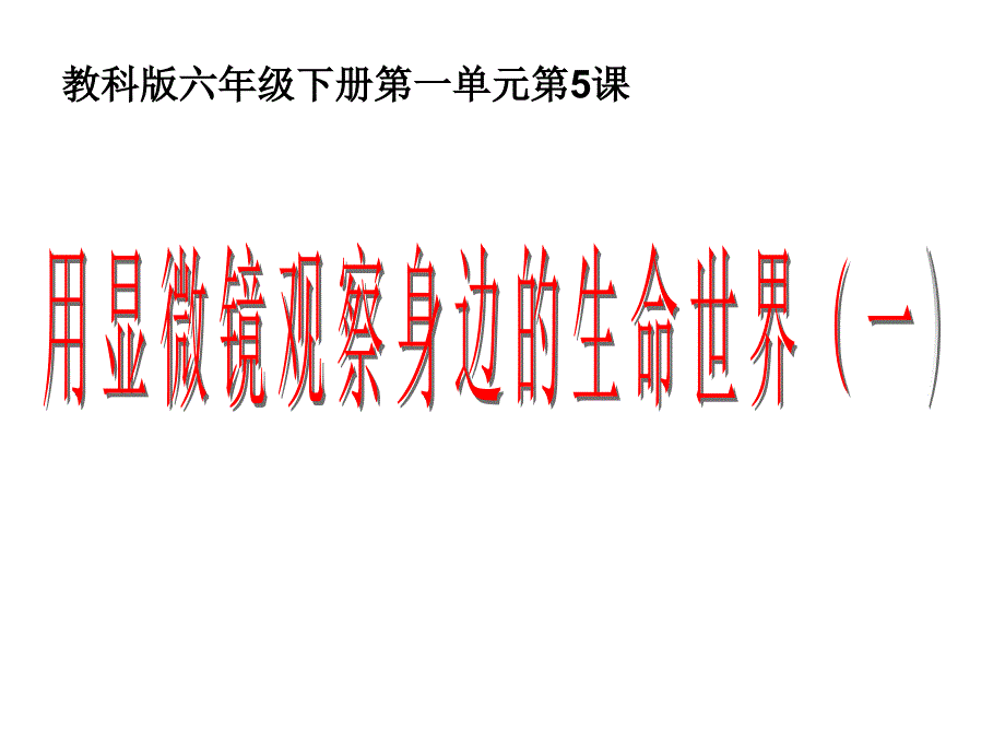 六下一5用显微镜观察身边的生命世界一 (2)_第1页