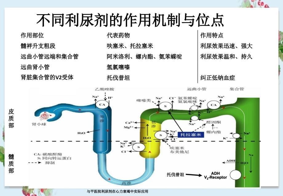 与平医院利尿剂在心力衰竭中实际应用_第5页