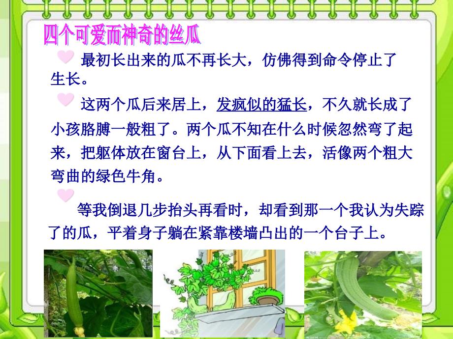 湘教版语文六上神奇的丝瓜ppt课件2_第3页