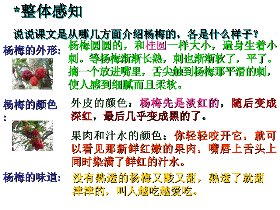 七年级语文故乡的杨梅.ppt_第4页