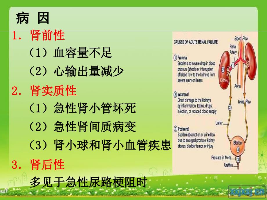 急性肾衰竭病人的抢救护理文档资料_第4页