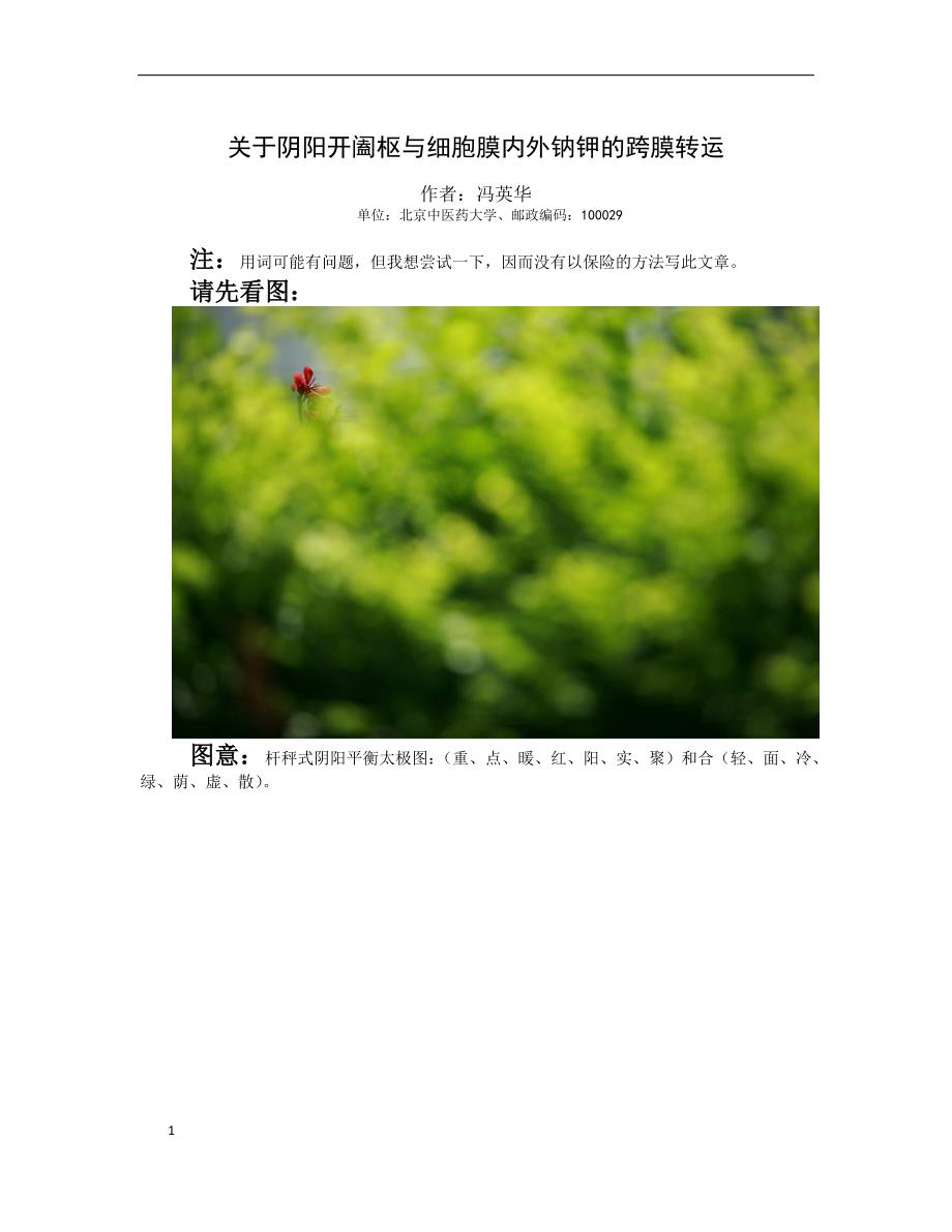 开阖枢与钠钾泵的阴阳类比(改1).docx_第1页