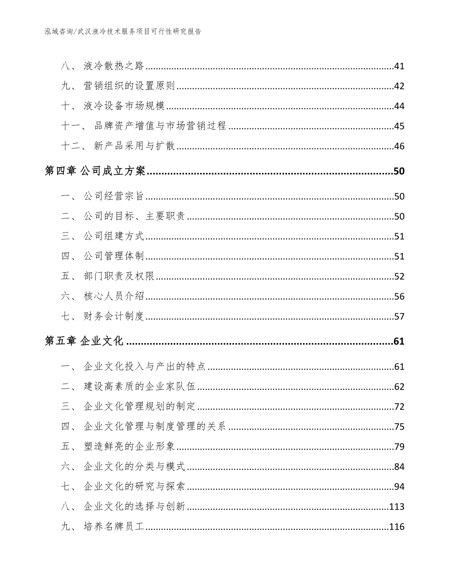 武汉液冷技术服务项目可行性研究报告_第3页