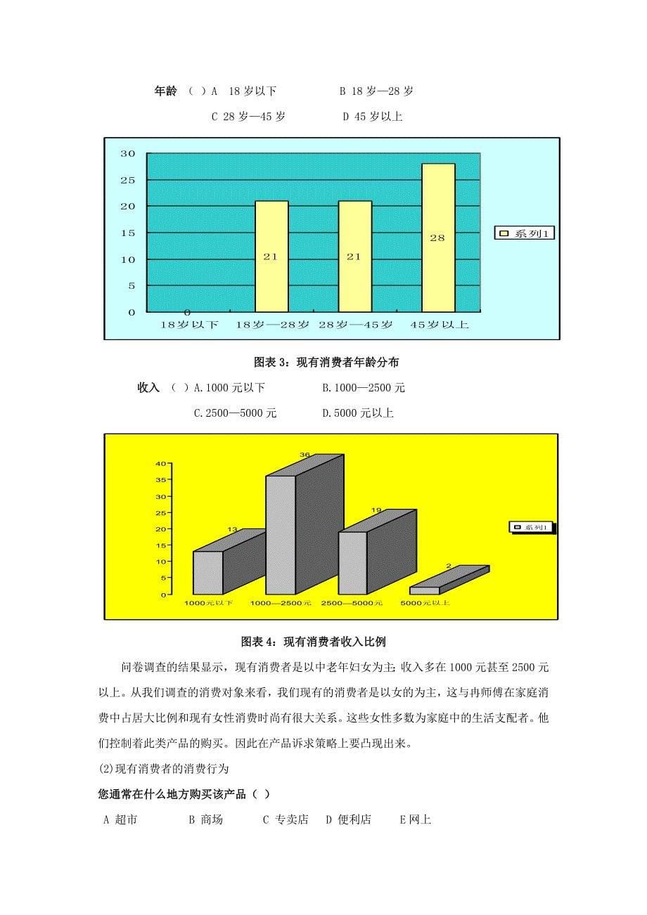 冉师傅牛肉干品牌营销.doc_第5页