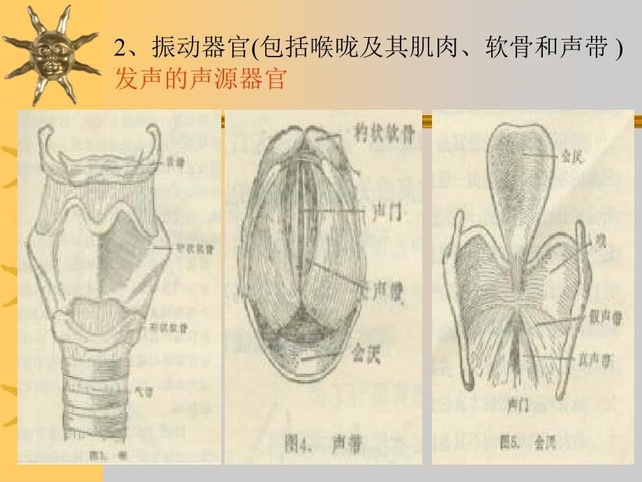 嗓音训练与保健_第5页