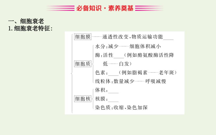 2020版新教材高中生物63细胞的衰老和死亡课件新人教版必修1_第2页