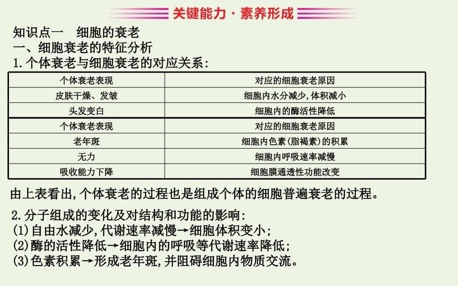 2020版新教材高中生物63细胞的衰老和死亡课件新人教版必修1_第5页