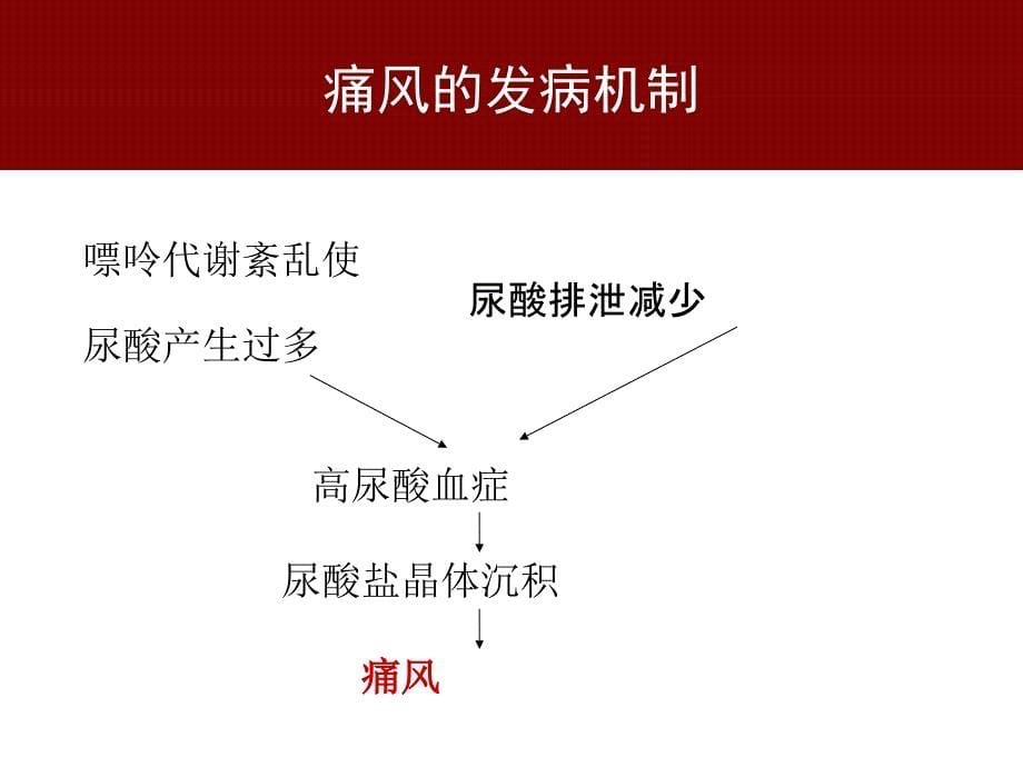 2010中国痛风临床诊治指南解读_第5页