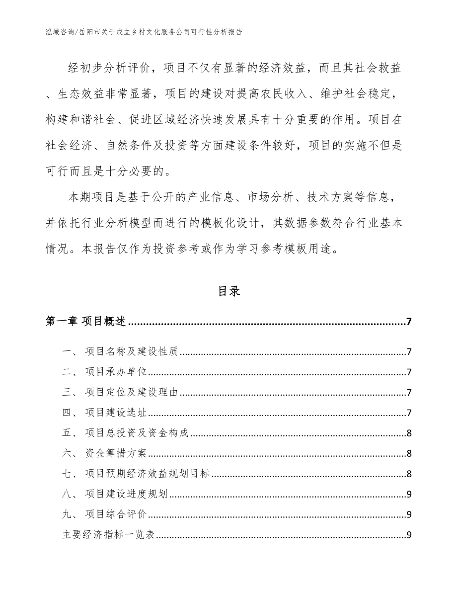 岳阳市关于成立乡村文化服务公司可行性分析报告（模板参考）_第2页