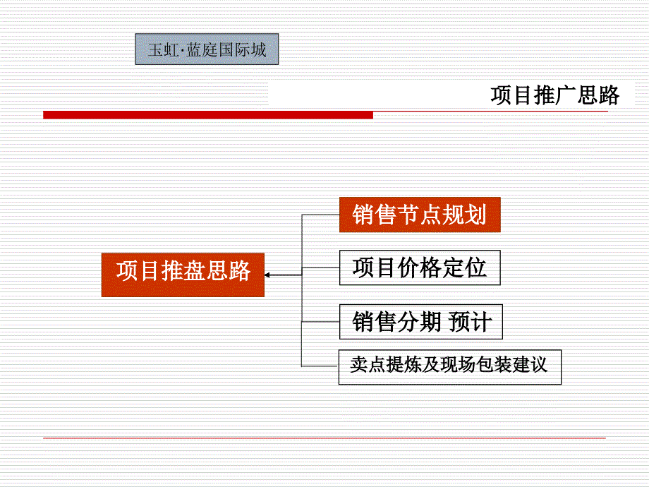 某国际城项目推广思路概述_第2页