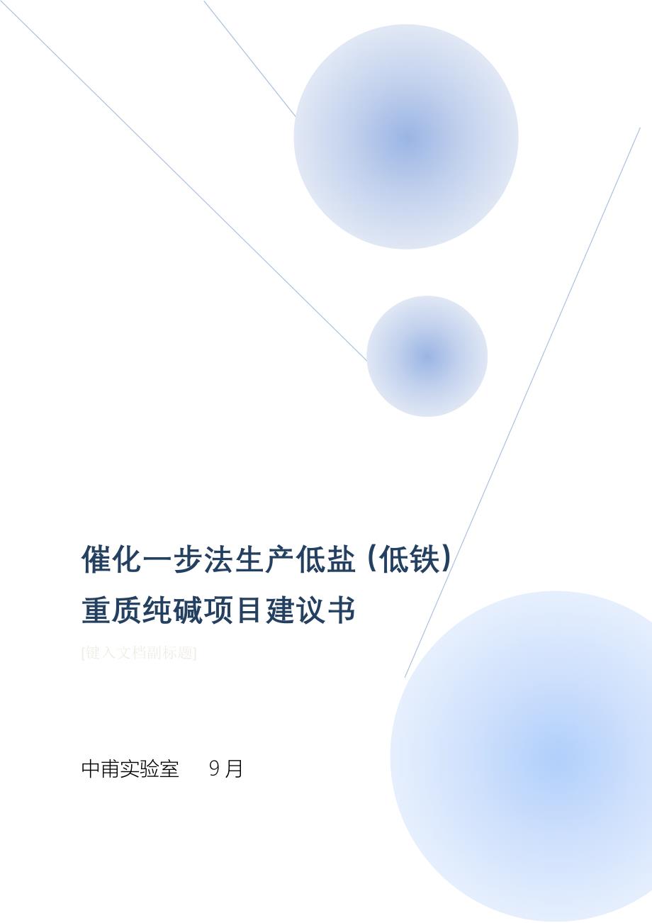 重庆新建2万吨低盐重质纯碱简略可行性报告_第1页