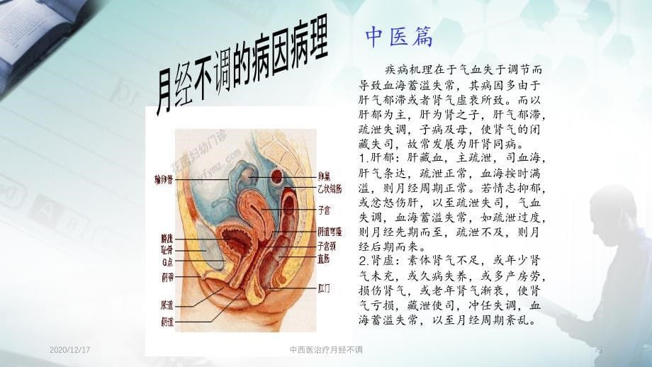 中西医治疗月经不调精选PPT干货_第5页