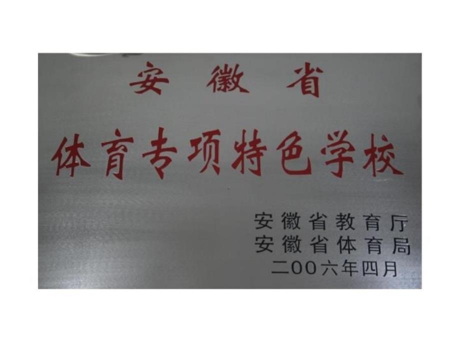 最新安徽省中学体育传统项目学校考核材料参考版PPT课件_第4页