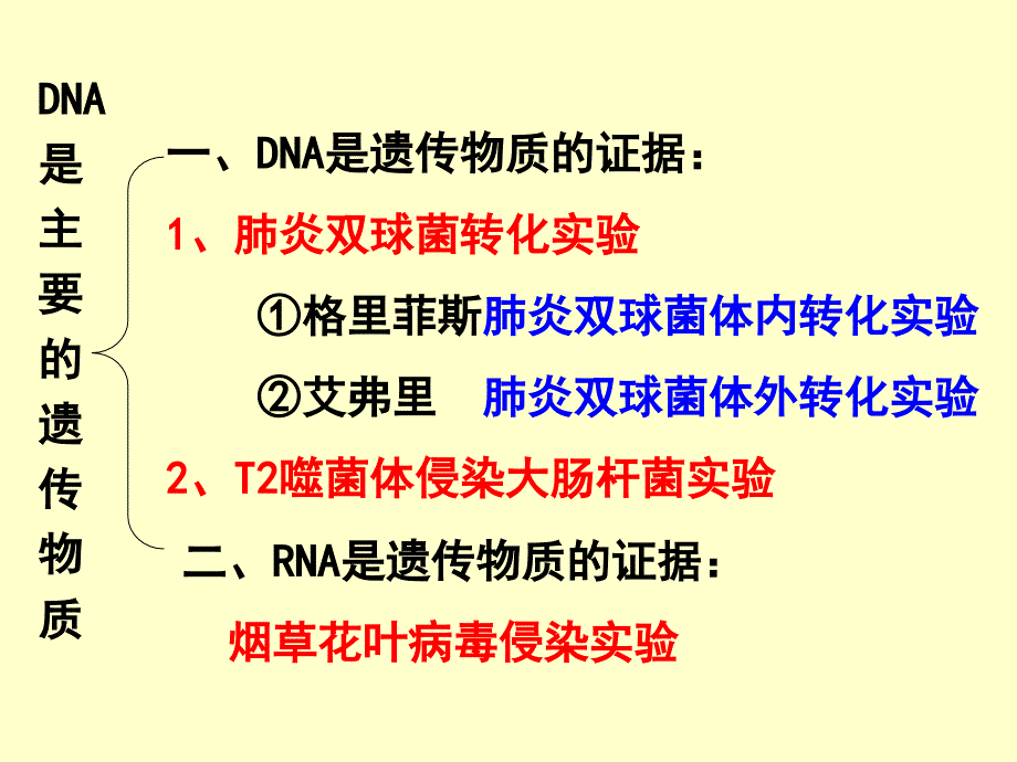 DNA是主要遗传物质t_第2页