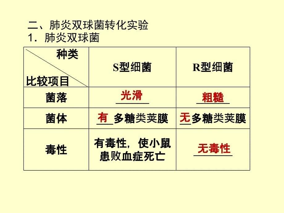 DNA是主要遗传物质t_第5页