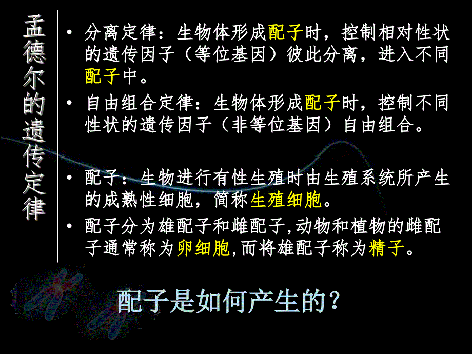 第一节减数中的染色体行为 (3)_第3页