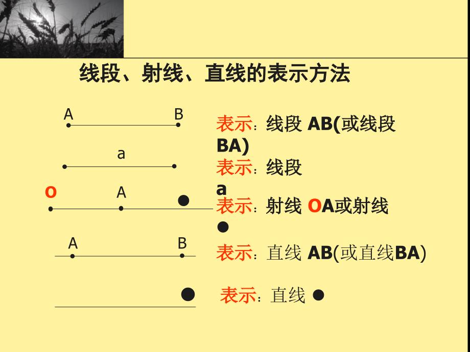 线段射线直线复习课_第2页