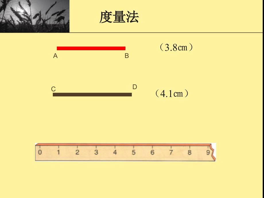 线段射线直线复习课_第4页