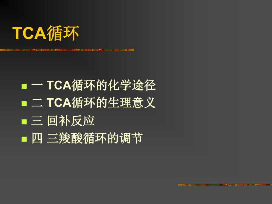 9糖代谢2TCAcycle_第4页