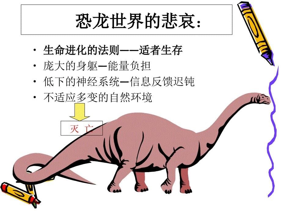 精益基础知识优质教学课件_第5页