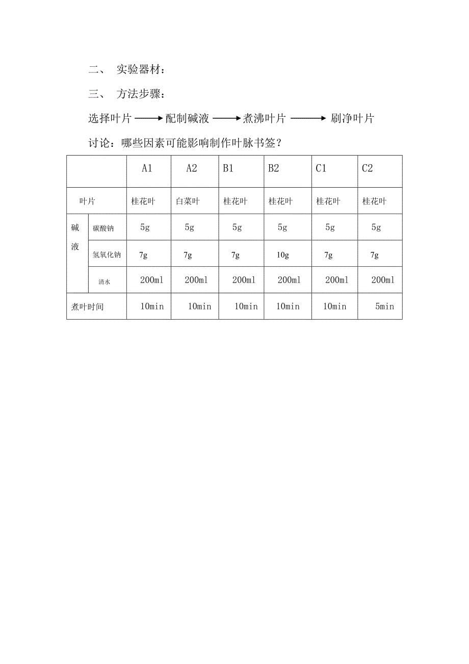 叶脉书签教案_第5页