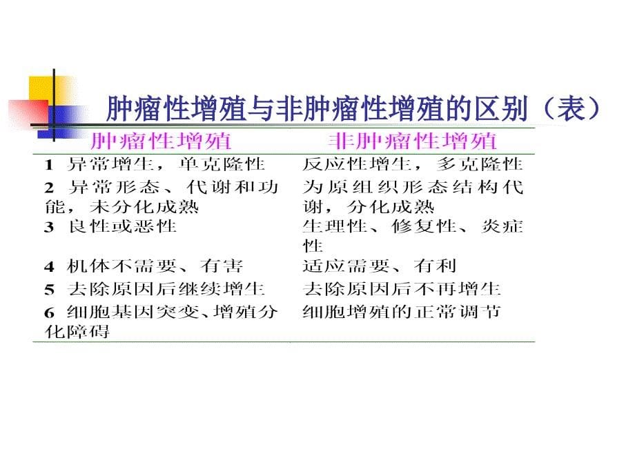 5肿瘤PPT课件文档资料_第5页