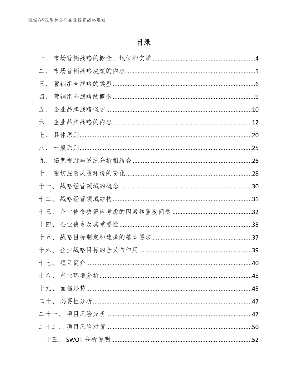 挤压型材公司企业经营战略规划_第2页