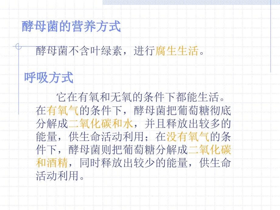 医学课件真菌的控制和利用课件_第5页