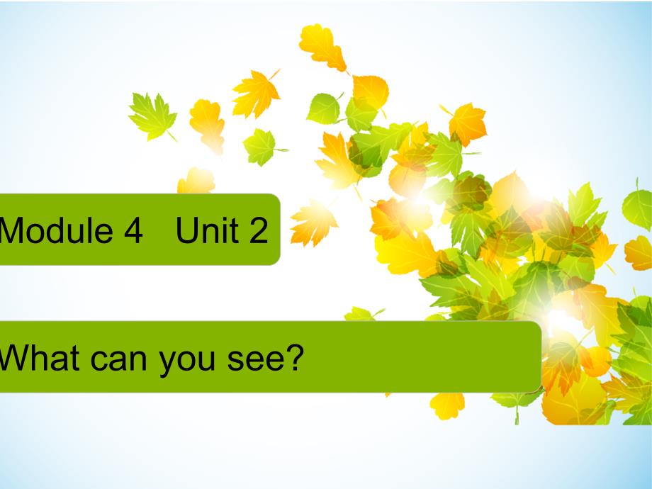 小学英语新外研版(一起)三年级上册M4U2-What_can_you_see_第2页