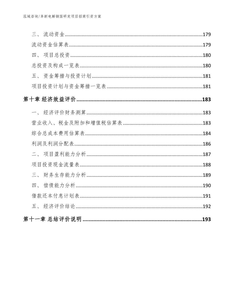 阜新电解铜箔研发项目招商引资方案模板_第5页