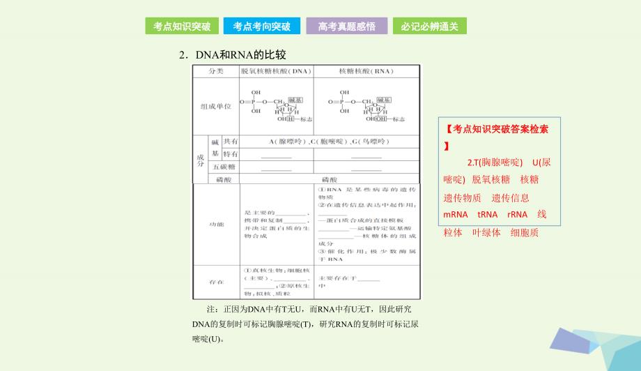 全国卷地区专用高考生物总复习第一单元细胞及其分子组成第4讲核酸糖类和脂质课件073133_第3页