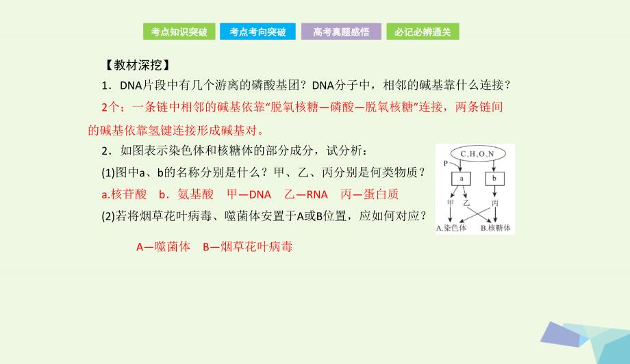 全国卷地区专用高考生物总复习第一单元细胞及其分子组成第4讲核酸糖类和脂质课件073133_第4页