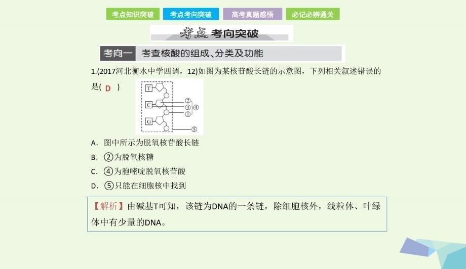 全国卷地区专用高考生物总复习第一单元细胞及其分子组成第4讲核酸糖类和脂质课件073133_第5页