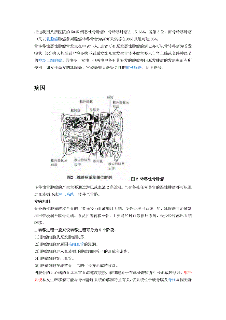 转移骨肿瘤 诊治.doc_第2页