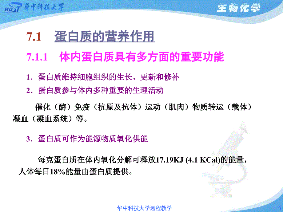 第7章氨基酸代谢PPT课件_第3页