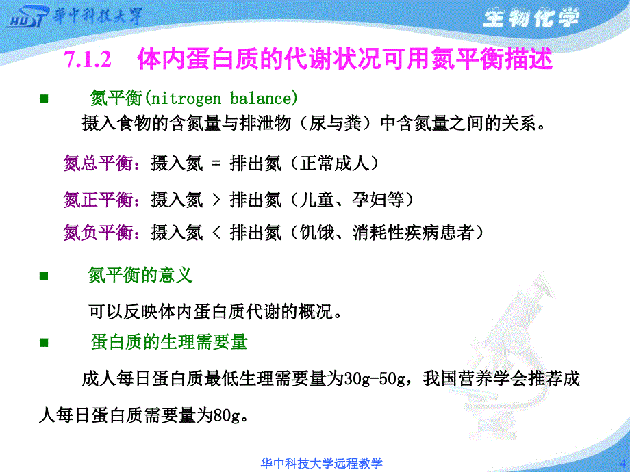 第7章氨基酸代谢PPT课件_第4页