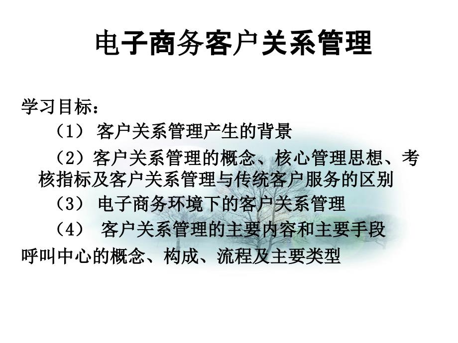 电子商务客户关系管理PPT课件_第1页