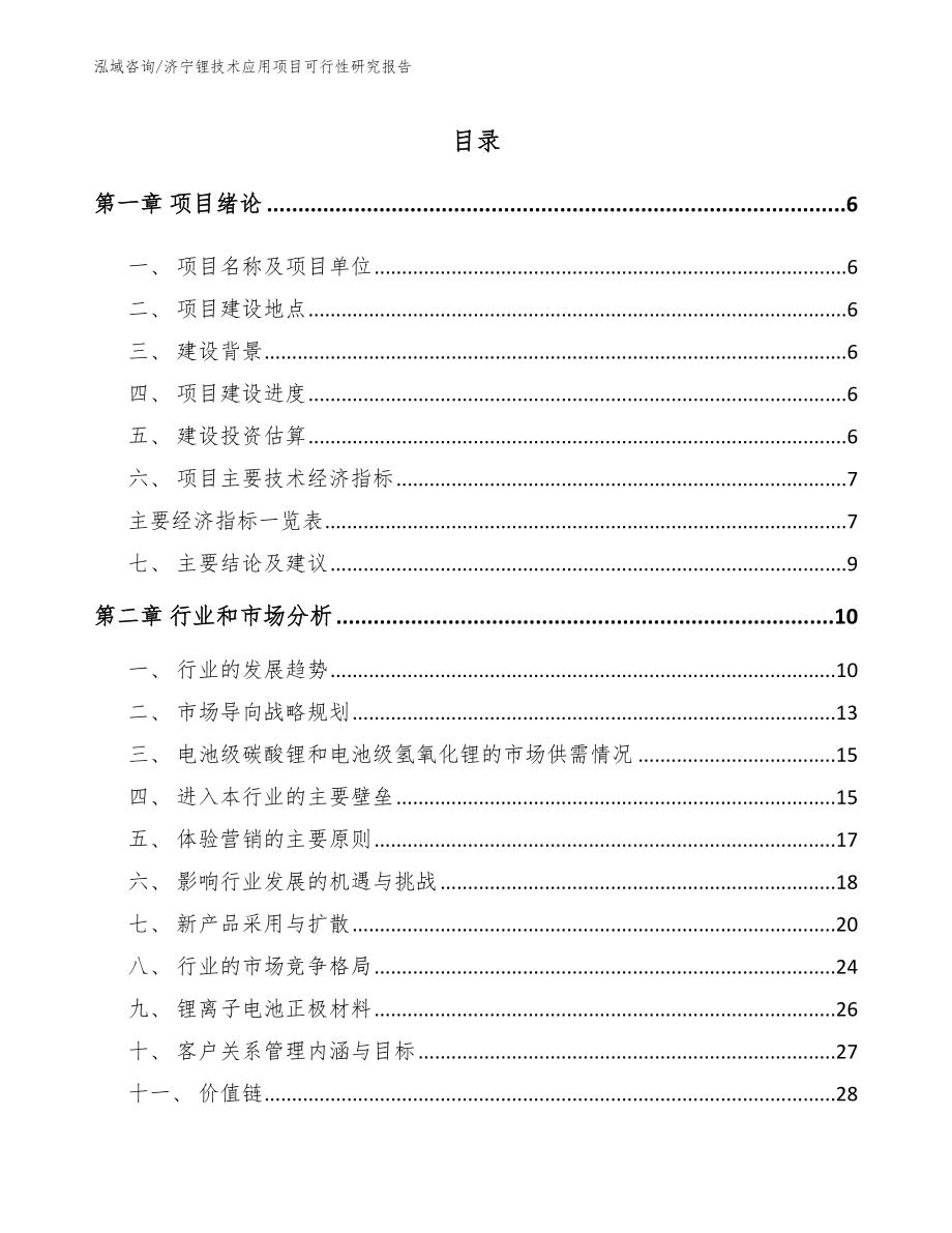 济宁锂技术应用项目可行性研究报告_范文模板_第1页