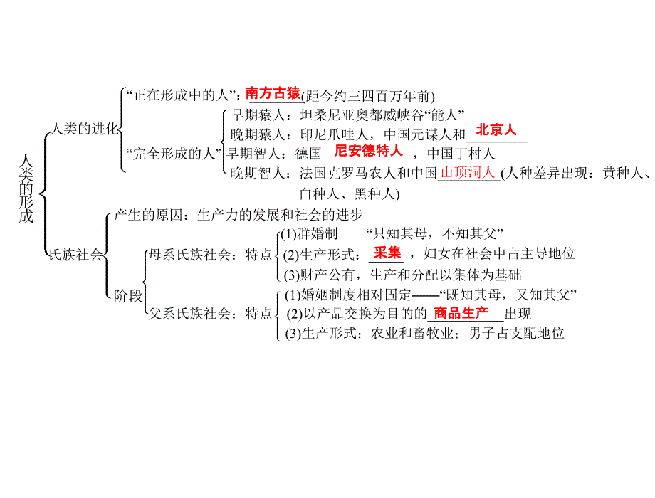 历史人教版九年级上册第1课人类的形成_第2页