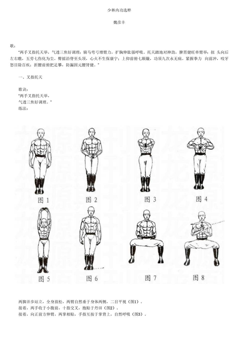 少林内功选粹_第1页