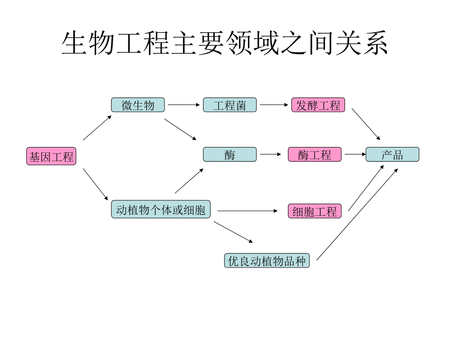 现代生物技术专题讲座(陈景红)_第4页