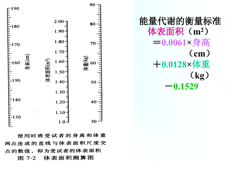 教学课件第七章能量代谢与体温_第3页