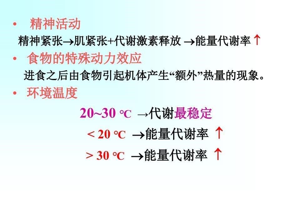 教学课件第七章能量代谢与体温_第5页