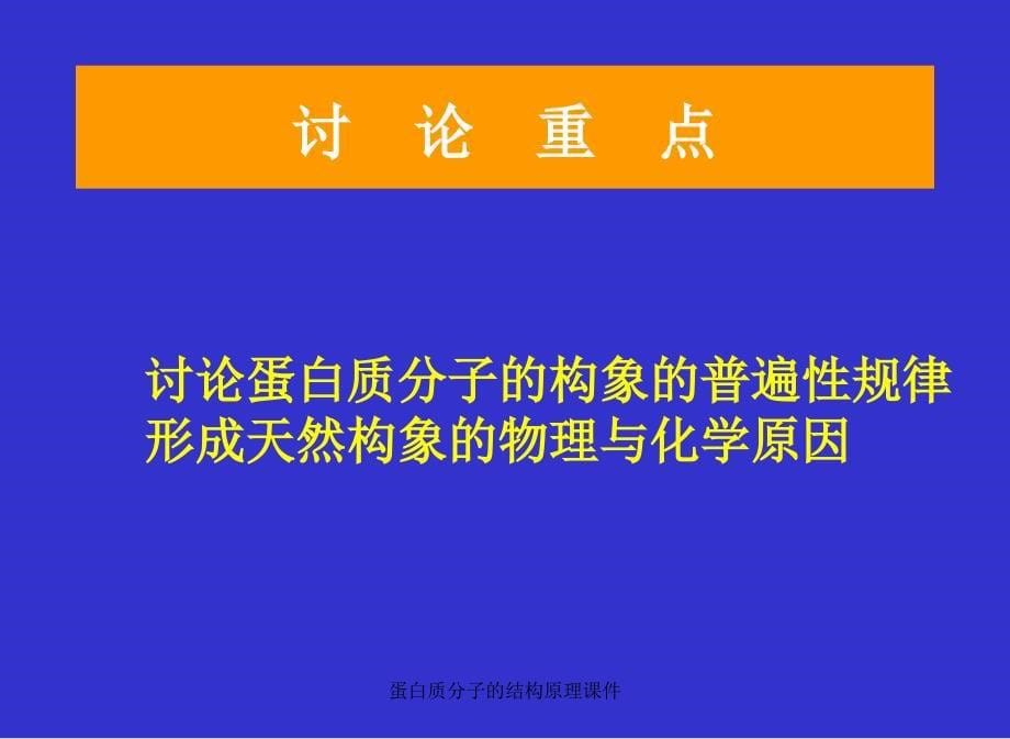 蛋白质分子的结构原理课件_第5页