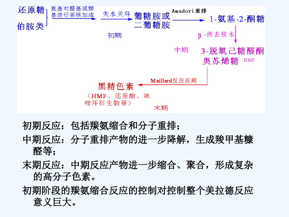 美拉德反应和焦糖化反应课件_第2页